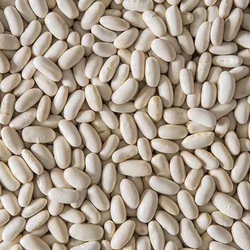 Advantages of Navy beans 