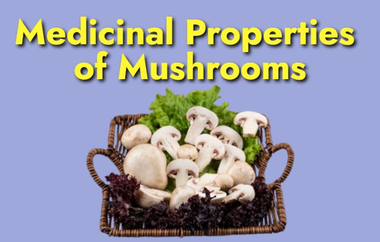 Medicinal Properties of Mushrooms